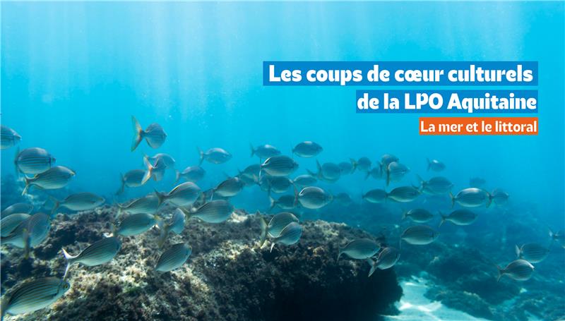 Les coups de cœur culturels de la LPO Aquitaine : mer et littoral